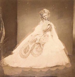 La Bisi. Boudoir, grijze fluwelen jurk, roze moiré, roze bloemen, grijze bladeren van zijn mei, 1860s