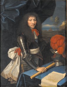 De jonge Lodewijk XIV
