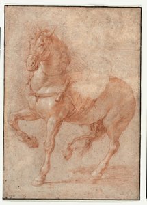 Studie van Bucephalus voor het reliëf "Alexander en Diogenes". door Pierre Puget