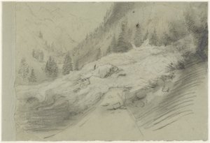 Lawine in een Alpenlandschap