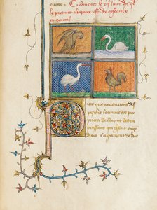 Pagina uit "De Proprietatibus Rerum" door Bartholomeus Anglicus, in de Franse vertaling van Jean Corbechon, ca. 1390