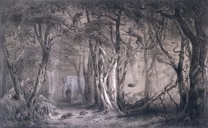 Oerwoud aan de rand van de Blauwe Nijl, uit Voyages au Soudan Oriental et dans l