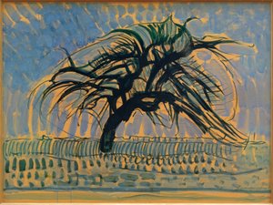 De blauwe boom