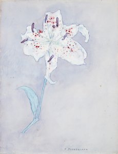 Lelie, ca. 1920-25 door Piet Mondrian