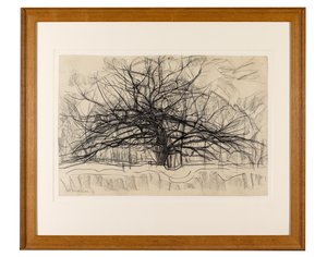 Studie voor De Grijze Boom, 1911