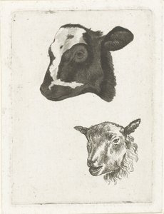 Kop van zwartbont kalf en schaap