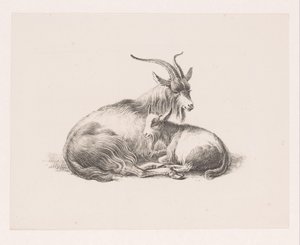Bok en een geit door Pieter Bartholomeusz. Barbiers