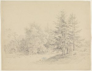 Bosgezicht met dennenbomen door Pieter Bartholomeusz. Barbiers