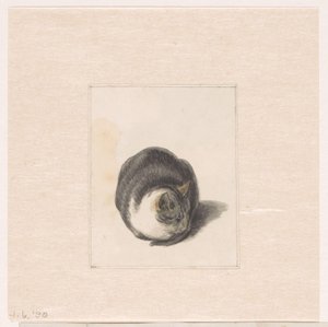 Zittende kat, van voren gezien