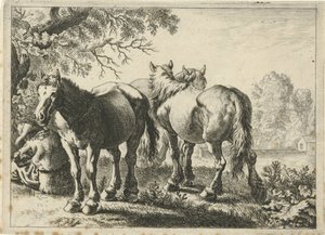 Drie paarden en een boer
