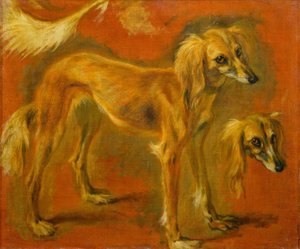 Twee studies van een windhond door Pieter or Peter Boel