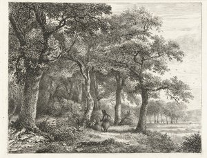 Boslandschap met man met rugzak