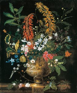 Januari, uit De Twaalf Maanden van Bloemen, een Bloemenkalender van Stillevens