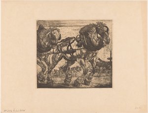 Trekpaarden bij de Seine in Parijs