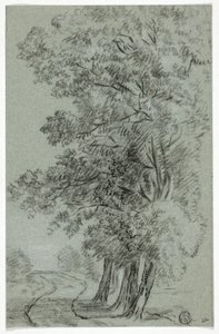 Weg langs bomen