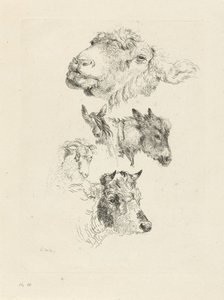 Studieblad met schaap-, paard-, ezel-, ram- en stierenkop door Pieter Gerardus van Os