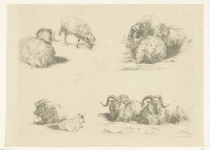 Vier voorstellingen met schapen en geiten door Pieter Gerardus van Os