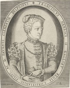 Portret van Frans II van Frankrijk 1544-1560 door Pieter Heyden van der