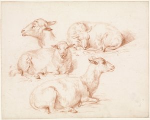 Studieblad met schapen door Pieter Jan Guise