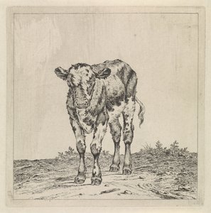 Landschap met kalf door Pieter Janson