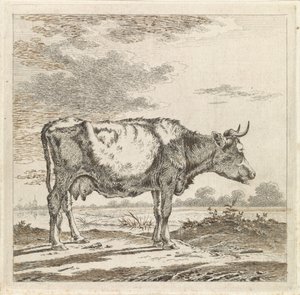 Landschap met koe aan waterkant