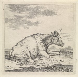 Liggende koe, naar rechts door Pieter Janson