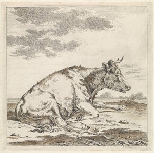 Liggende koe, naar rechts door Pieter Janson