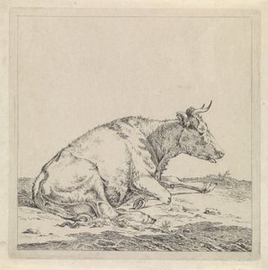 Liggende koe, naar rechts door Pieter Janson