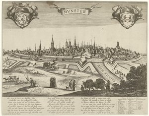 Panorama van Münster