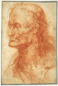 Studie van het hoofd van een oude man door Pieter Paul Rubens