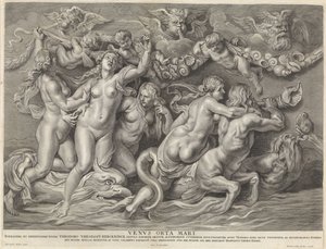 Venus op zee
