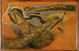 Drie pauwen (schilderij op doek) door Pieter or Peter Boel