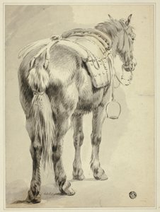 Zadelpaard