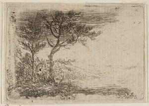 Duits: Landschap met twee bomen door Pieter van Laer