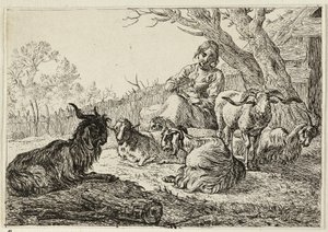 Sheperdess tussen geiten en schapen door Pieter van Laer