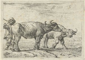 Twee buffels en een herder door Pieter van Laer