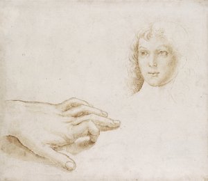 Studies van een Hoofd en een Hand door Pietro (circle of) Perugino