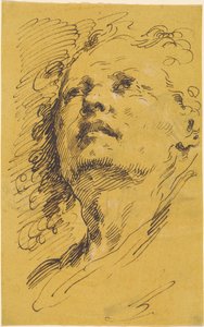 Hoofd van een Man die Omhoog Kijkt door Pietro Antonio Novelli