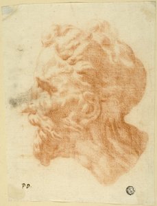 Hoofd van man met baard in profiel naar links door Pietro Dandini