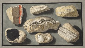 Specimens van Tufa gevonden in en rond Herculaneum, Plaat XXXXV, uit 