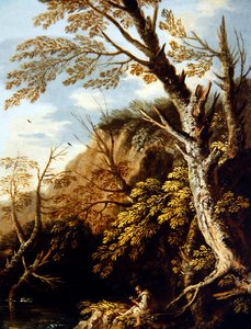 Een Boslandschap met een Kluizenaar door Pietro Montanini
