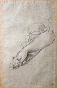 Handen en armen, studie voor Het Gouden Acortonage fresco