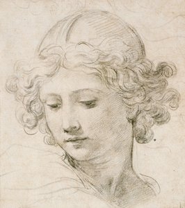 Hoofd van een engel, kijkend naar links door Pietro da Cortona
