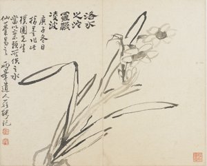 Landschappen, Bloemen en Vogels: Narcissus, Qing-dynastie