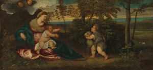 Madonna en Kind en de jonge Sint Jan in een landschap, 1540-1550 door Polidoro da Lanciano