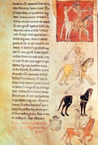 De Vier Ruiters van de Apocalyps, uit de Apocalyps van St. Jean de Lorvao door Portuguese School