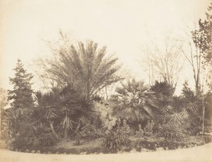 Pincian Tuin, Rome, 1853-56