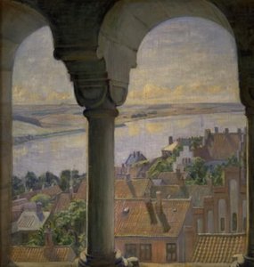 Uitzicht vanaf de toren van de kathedraal van Viborg door Poul S. Christiansen