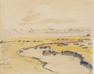 Dyrnæs weiden