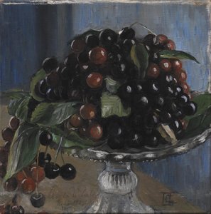 Kersen in een fruitschaal. Civitá d